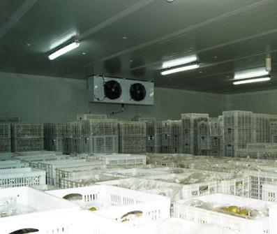 中山冷庫(kù)安裝